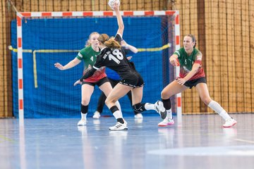 Bild 110 - wBJ HSG Kremperheide/Muensterdorf - HSG Joerl-Doppeleiche Vioel : Ergebnis: 34:23